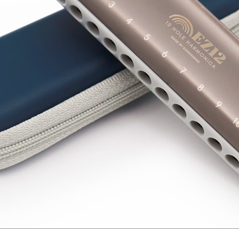 KONGSHENG 12-Hole C Key Full Scale Blues Harmonica Beginner Entry-Level Children Adult Professional EZ-12 Silver 12