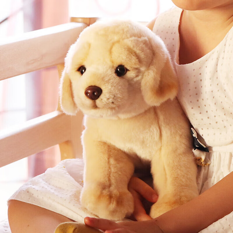 AI CAN China National Geographic Cute Golden Retriever Companion Pet Plush Toy Gift Box, Birthday Present for Boys And Girls