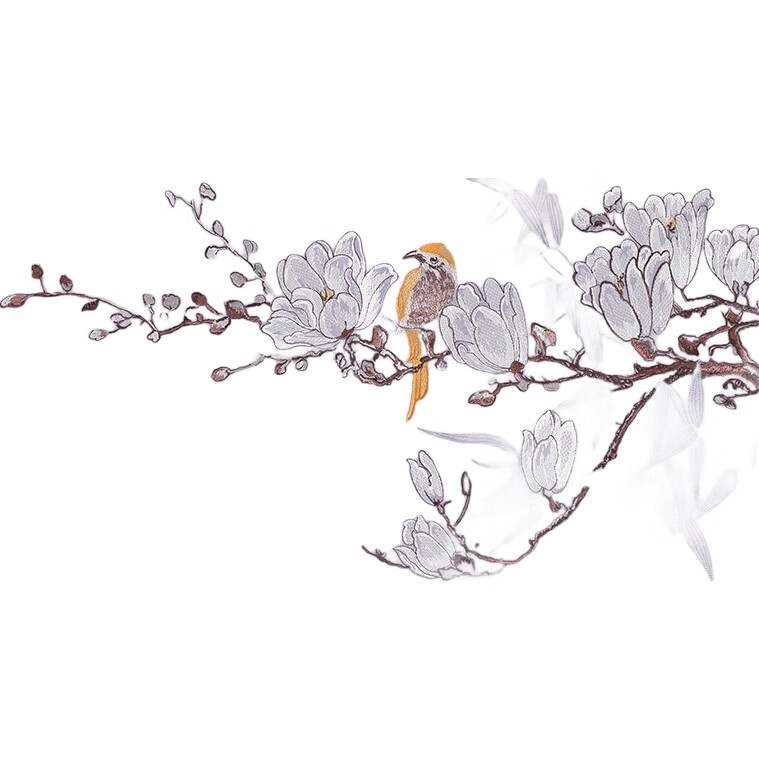White Image 1