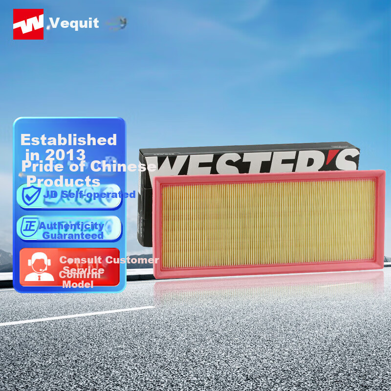 Воздушный фильтр Weisite MA9860 для Peugeot/Citroen C5/C6