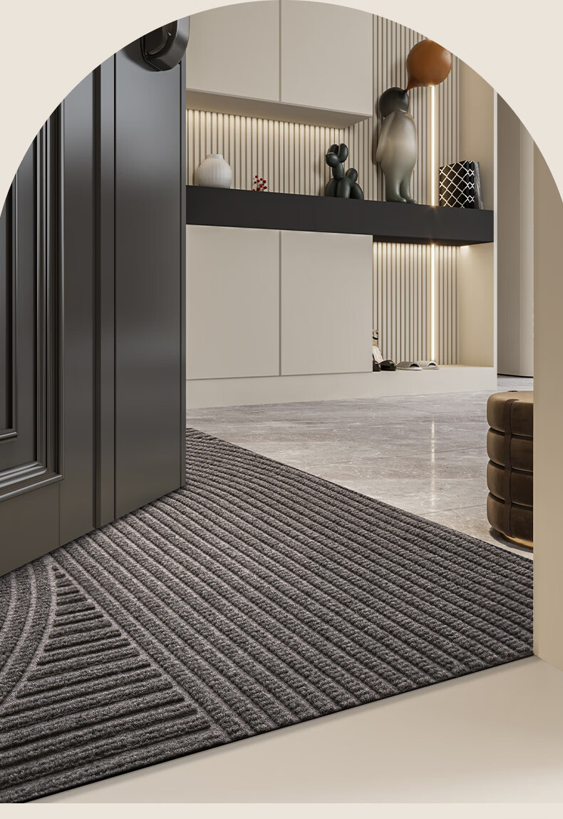 DeXi Entrance Mat, Doorway Mat, Foot Mat, 2025 New Style Doormat, Foyer Carpet, Entrance Floor Mat, 45x75cm 4