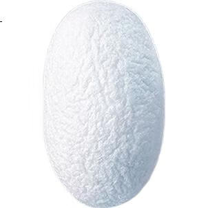 White Image 2