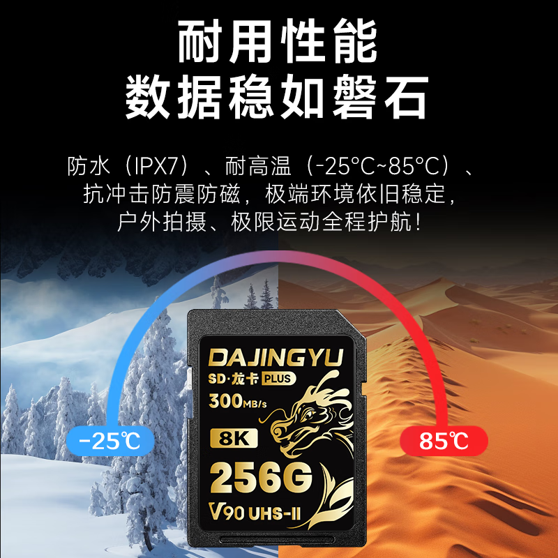 DAJINGYU W-01227739