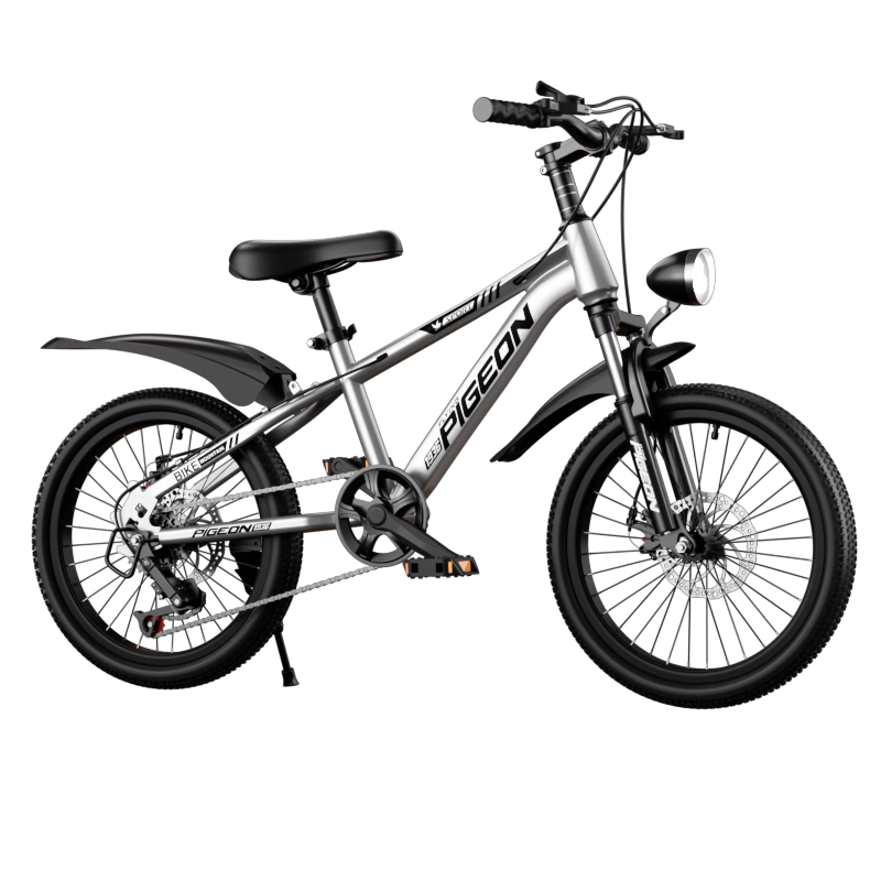FG FLYING PIGEON Children's Bicycle for Ages 6-12 Youth Bike for Boys And Girls, Student Lightweight Mountain Bike, Silver 22-Inch with Gears And Spokes