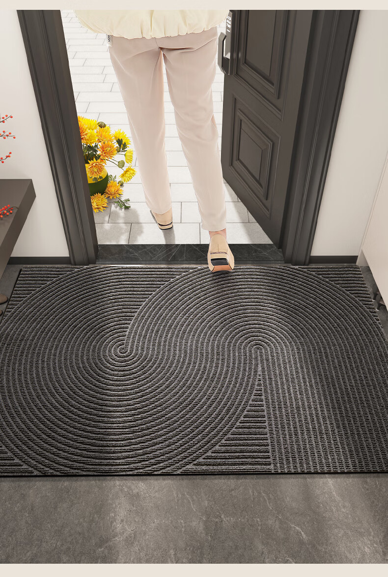 DeXi Entrance Mat, Doorway Mat, Foot Mat, 2025 New Style Doormat, Foyer Carpet, Entrance Floor Mat, 45x75cm 2
