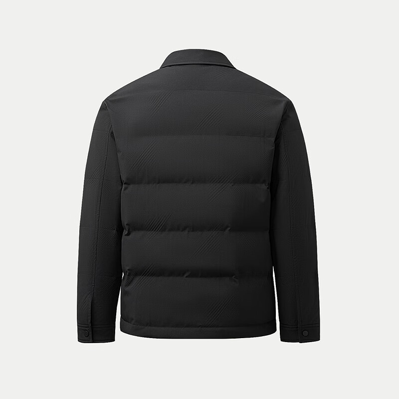 HLAHLA Men's Down Jacket 25 Mountain High Collar Warm Duck Down Coat Winter