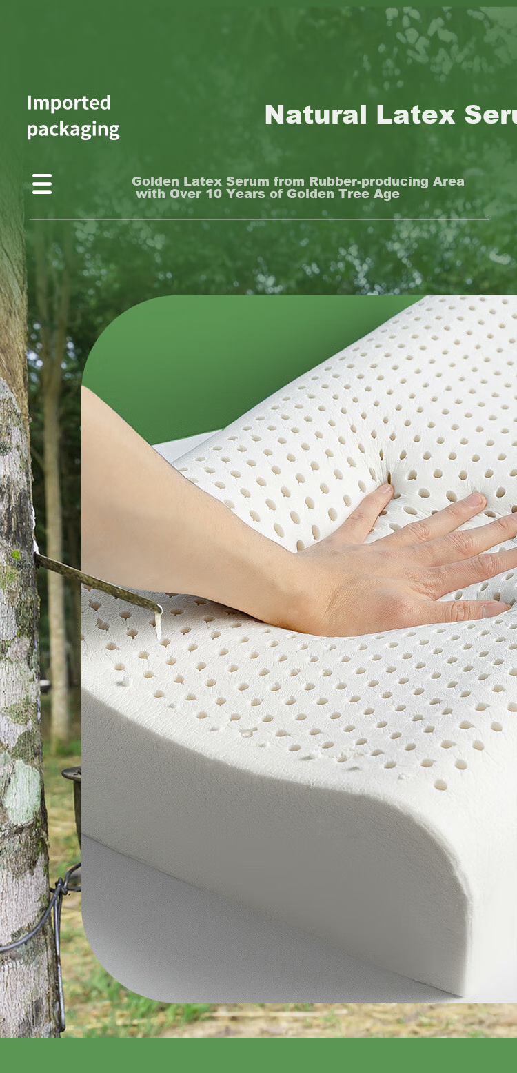 SOMERELLE Latex Pillow, 93% Imported Natural Latex from Thailand, Deep Sleep Pillow Core, Wave-Shaped High Pillow 3