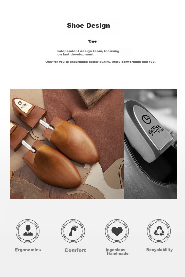 Goldlion Men's Shoes, Urban Formal Leather Shoes, Comfortable And Durable Derby Shoes, 50823024440A, Brown, Size 43 13