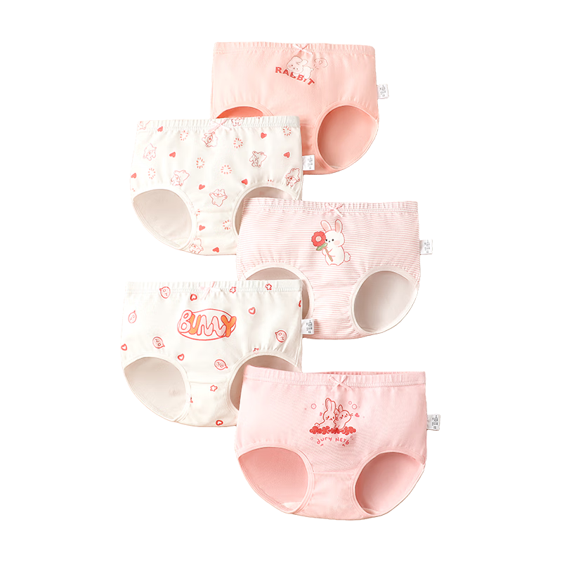 Dingguagua 5-Pack Girls' Cotton Antibacterial Breathable Briefs for Children Age 10A