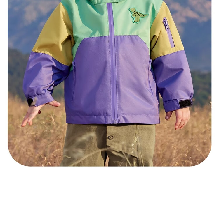Qiqi Bear Boys' Windbreaker Outdoor Jacket Children's Autumn 3-in-1 Thickened Baby Three-Proof Winter Coat 9