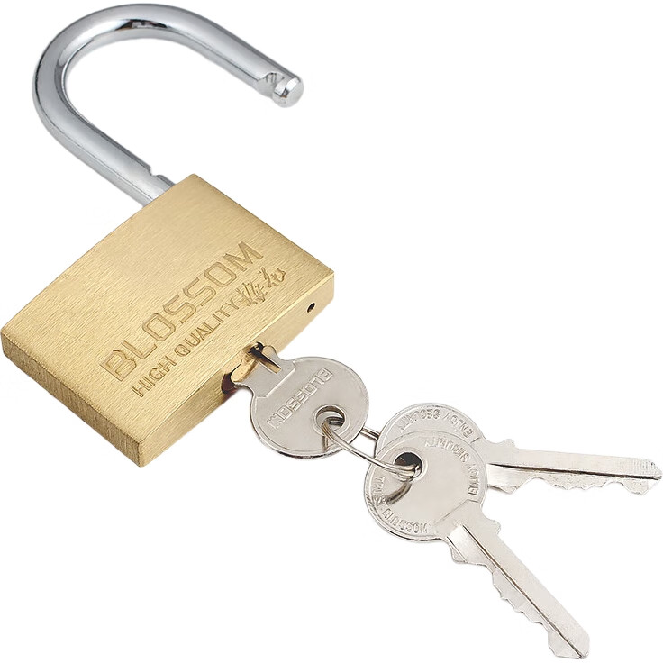 Замок BLOSSOM Copper Padlock, водонепроницаемый и устойчивый к ржавчине, для дома, общежития, шкафов и дверей, антивандальный оконный замок, 55 мм (076)