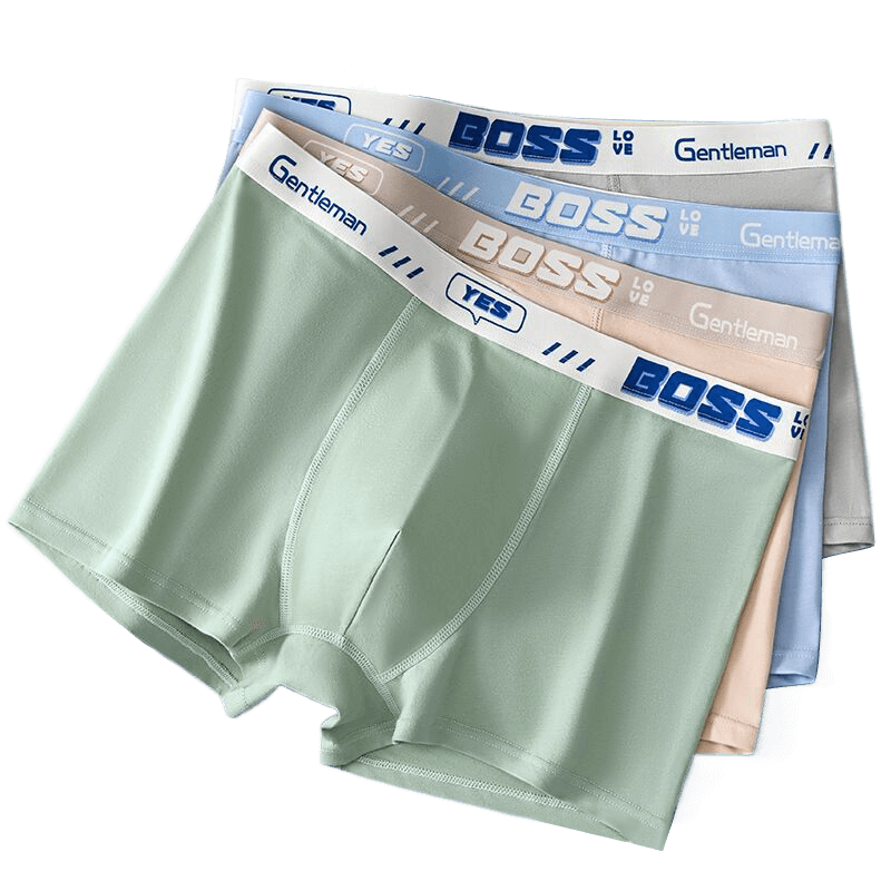 Dingguagua Youth Cotton Antibacterial Boxer Briefs for Boys, Middle and High School Students