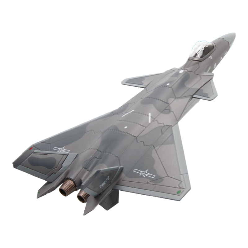 Terebo Aviation Cultural Creative Authentic 1:100 J-20 Fighter Jet Alloy Simulation Aircraft Model Airshow Veteran Commemorative