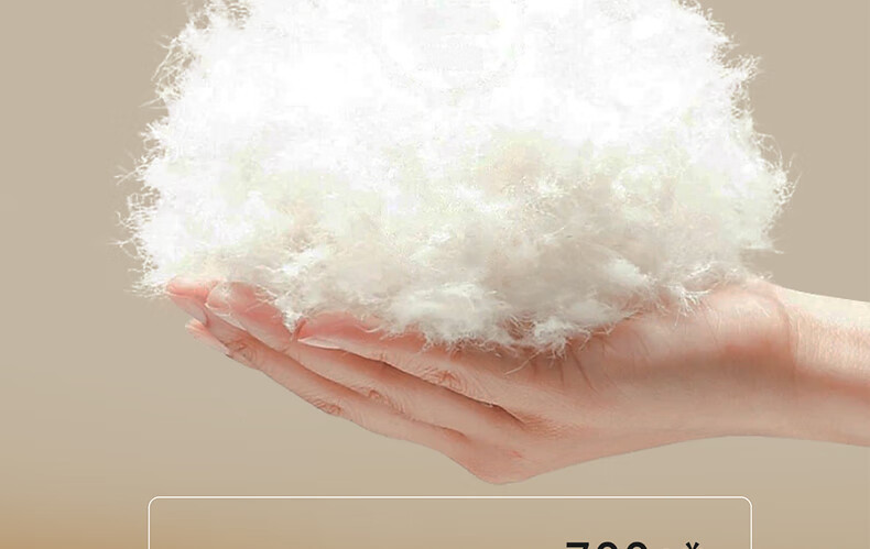 Mercury Home Textiles 95% White Goose Down Quilt Winter Thickened Double Bed Southern France Series 220×240cm 1100g 15
