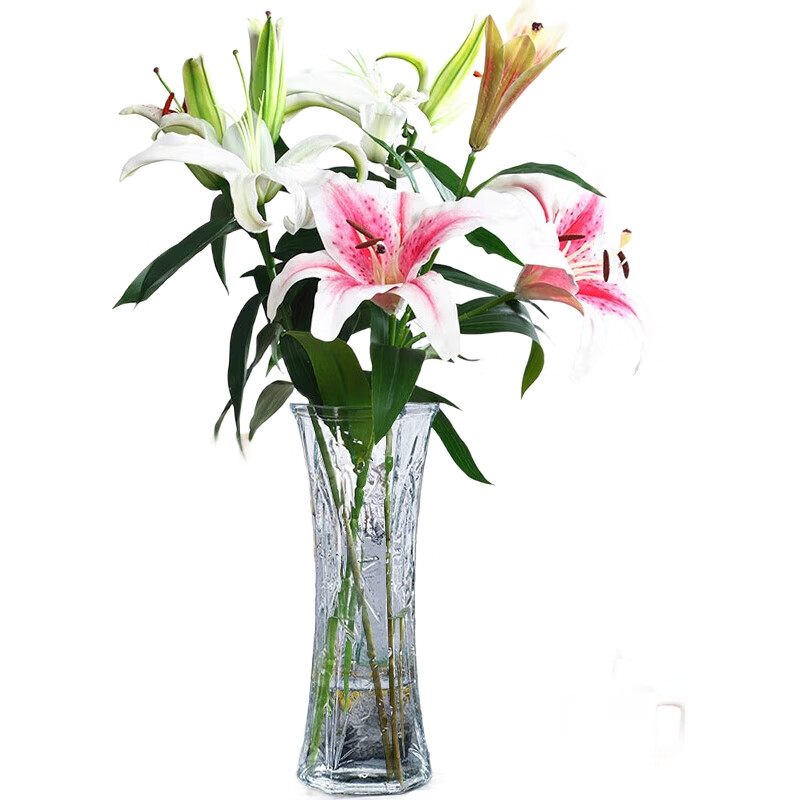 White Image 3