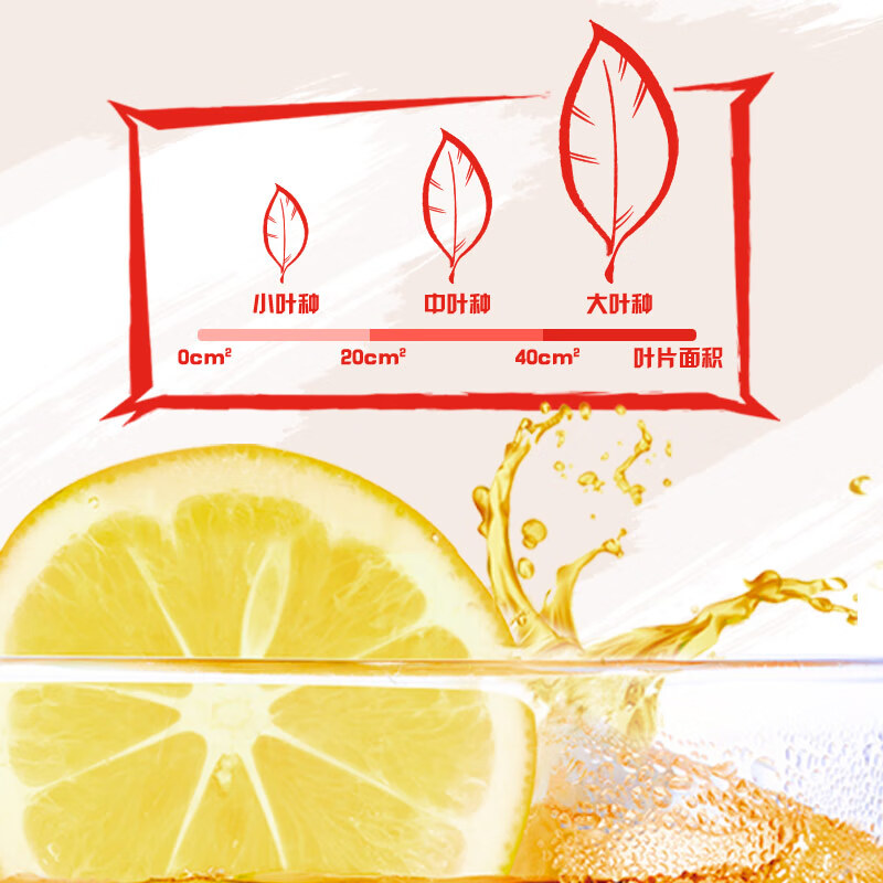 统一 冰红茶 【新说唱同款】 500ml*15瓶 新旧包装交替发货