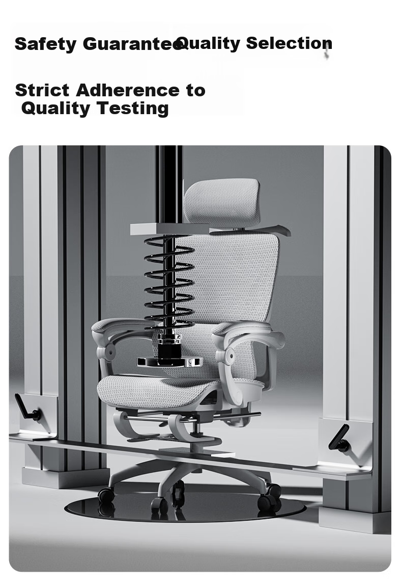 LIANFENG E-65 Ergonomic Chair, Computer Chair, Home Office Chair, Comfortable for Long Sitting, Gaming Chair, Study Room Chair 23