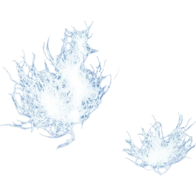 White Image 1