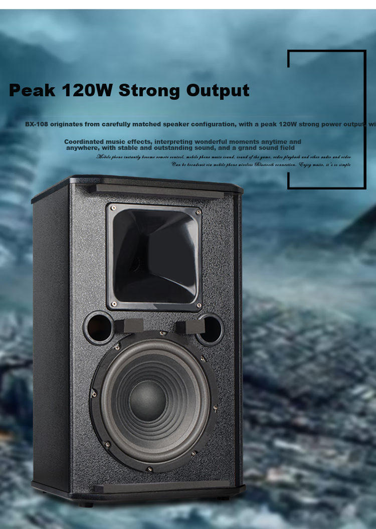 SHILE Professional Small to Medium-Sized Conference Room Audio System Set with Wall-Mounted Speakers, Amplifier, And Microphone Combination Teaching Training Lecture Audio System AV108+108*2 Black+SH10 11