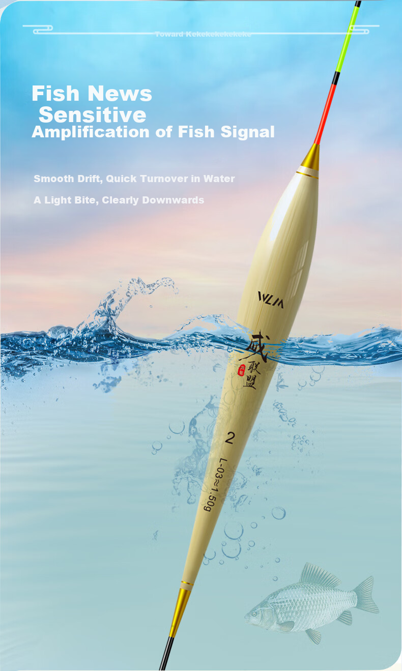 Weilianmeng L01 Shallow Water Crucian Carp No. 2 Float, Aged with Shell, Reed Float, Highly Sensitive, Eye-Catching Buoy, Fishing Tackle 6
