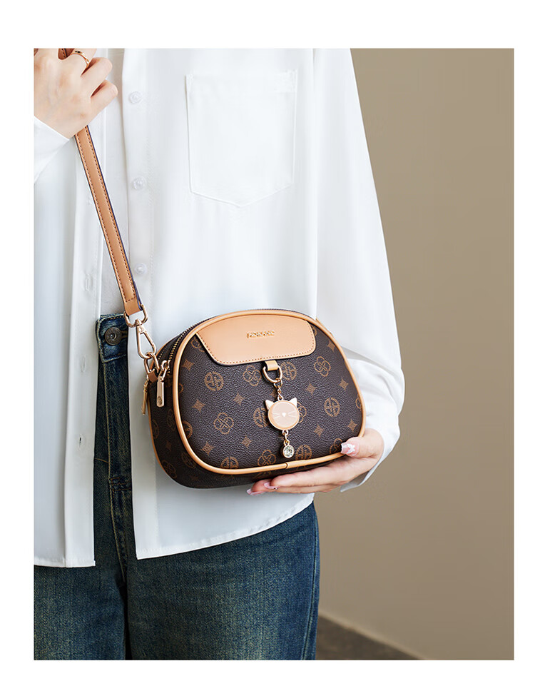 Aokang Women's Handbag, Trendy Phone Bag, Crossbody Shoulder Bag, Light Luxury Small Square Bag, Birthday And Mother's Day Gift for Girlfriend Or Wife 8