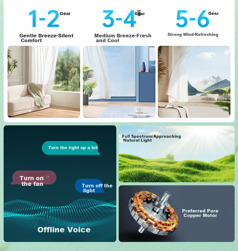 Zhangcheng LED Ceiling Fan Light, Integrated Bedroom And Dining Room Eye-Protecting Zhongshan Lighting Fixture with Installation Included 3