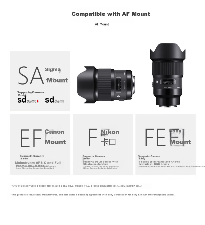 SIGMA Art 14mm F1.4 DG Full-Frame Mirrorless Ultra-Wide Prime Lens for Starry Sky, Star Trails And Landscape Photography (L-Mount) 3