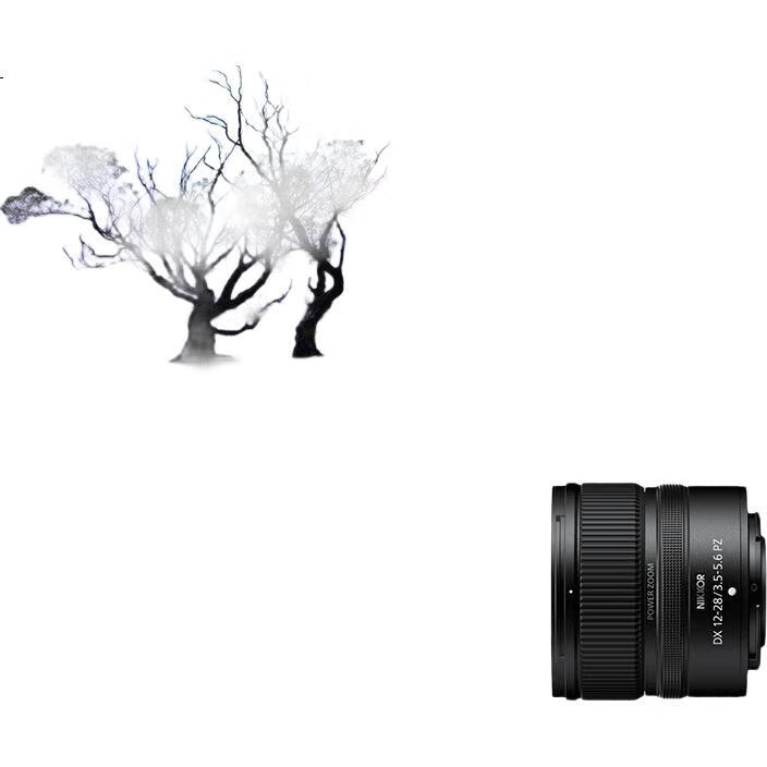 White Image 1