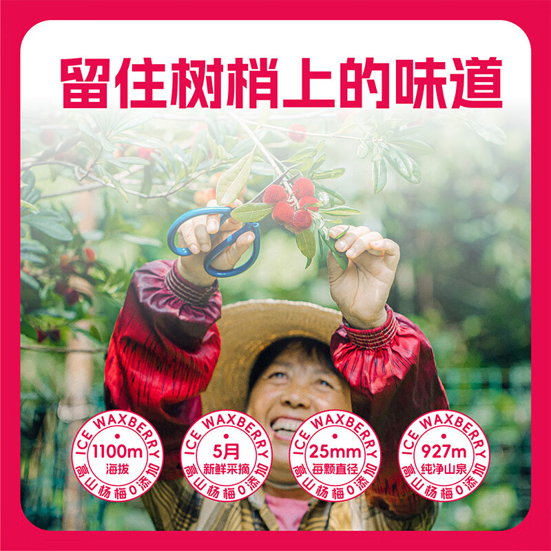 成有王记冰杨梅（果汁饮料）380g*6杯 冷冻杨梅汁沙冰礼盒 贵州老字号