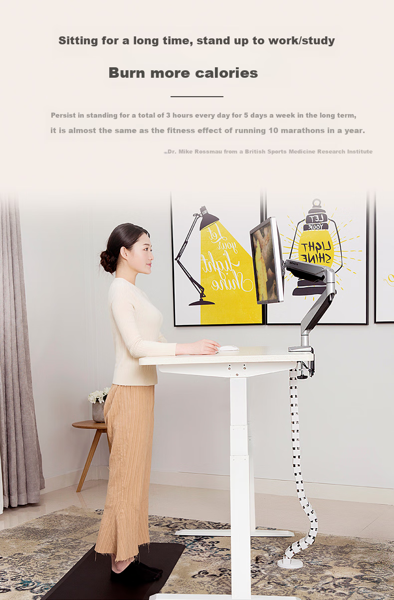 Loctek Height Adjustable Desk, Computer Desk, Gaming Standing Desk, Office Study Desk E5-N Gray Wood Grain Color 1.4M 2