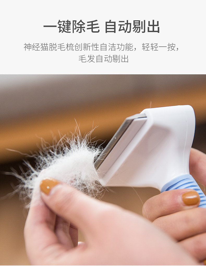 褪毛梳 (5).jpg