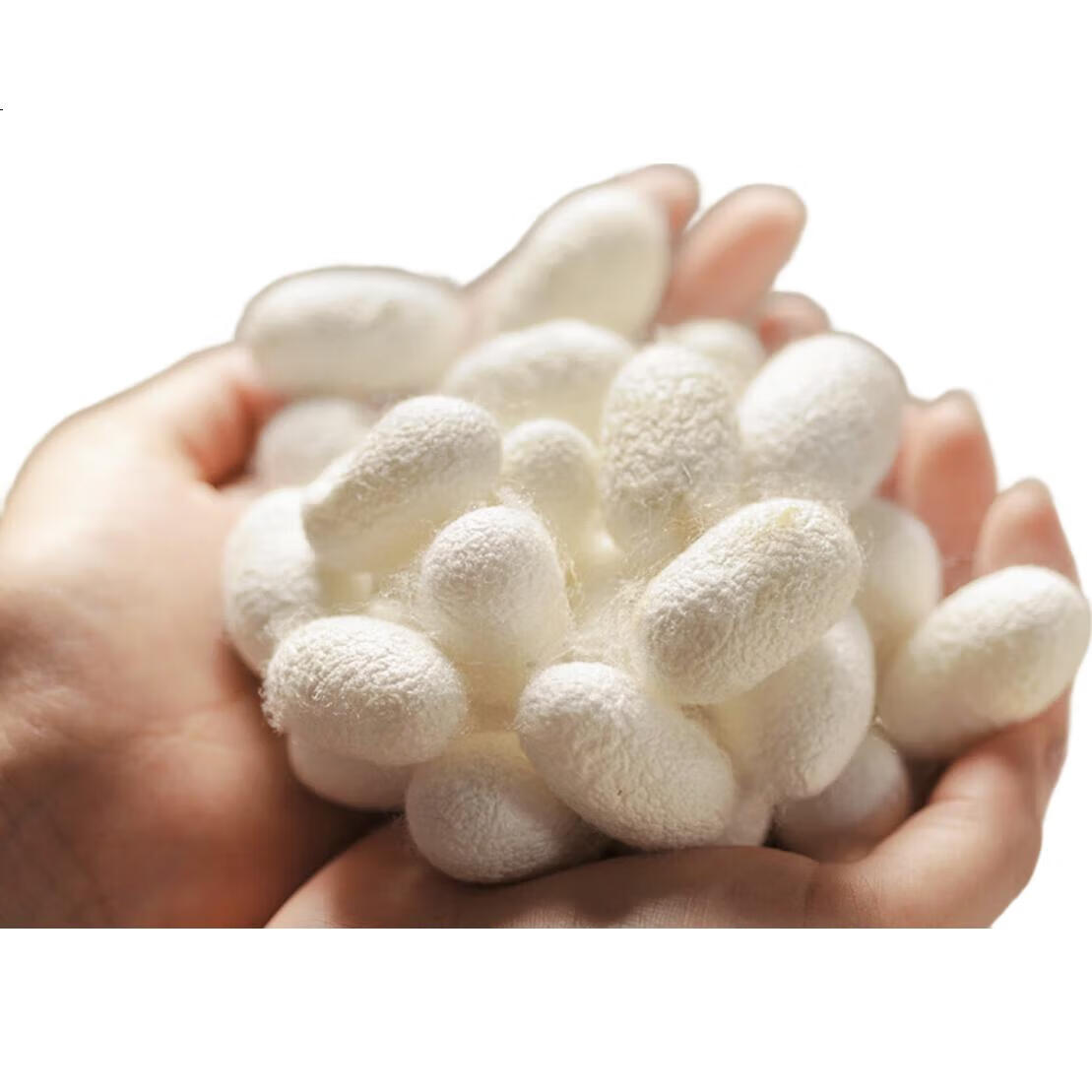 White Image 1