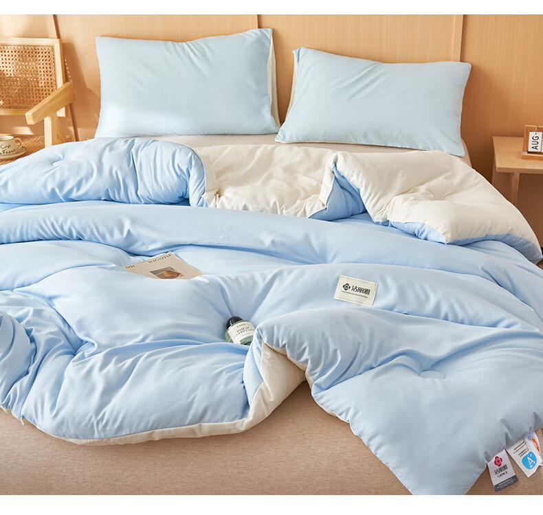 Grace Class A Fabric Quilt Thickened Autumn Winter Air Conditioning Quilt Double Four Seasons 150*200cm 5 Jin 1