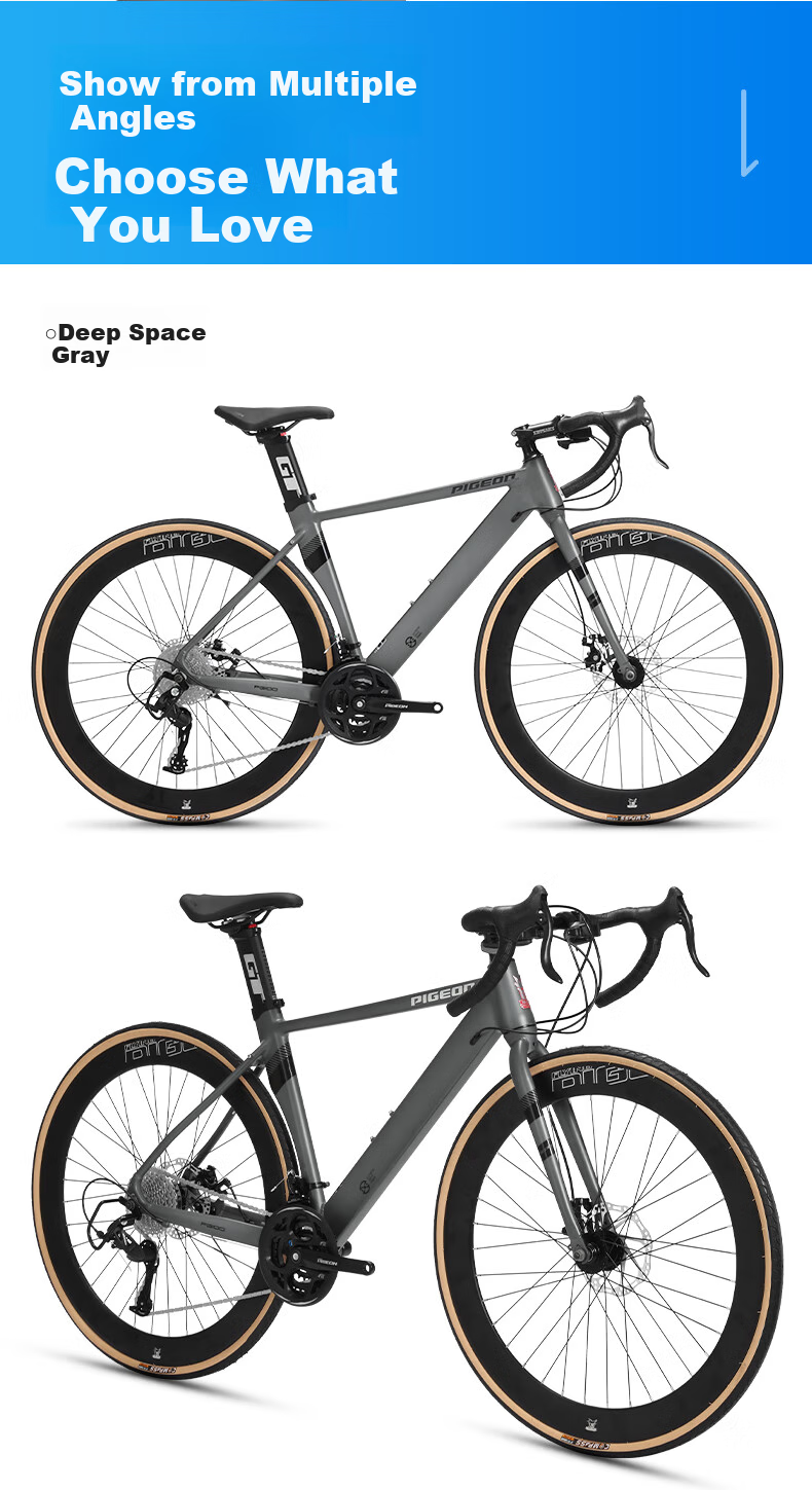 FG FLYING PIGEON Road Bicycle, 700C Aluminum Alloy Frame, 27-Speed, for Men And Women, Adults And Students, City Racing Bike, Nebula Gray 19