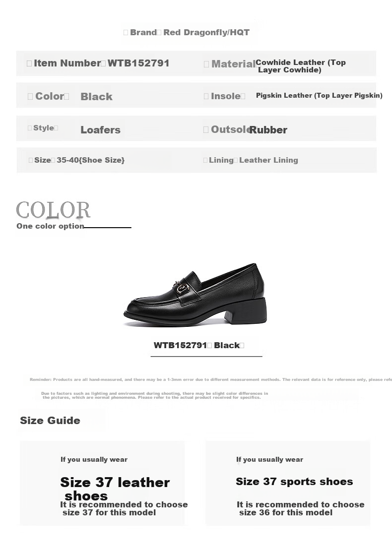 RED DRAGONFLY Women's Loafers with Chunky Heel, French-Style Leather Shoes, Versatile Commuter Shoes for Women, Mom's Flats WTB152791 Black Size 40 8