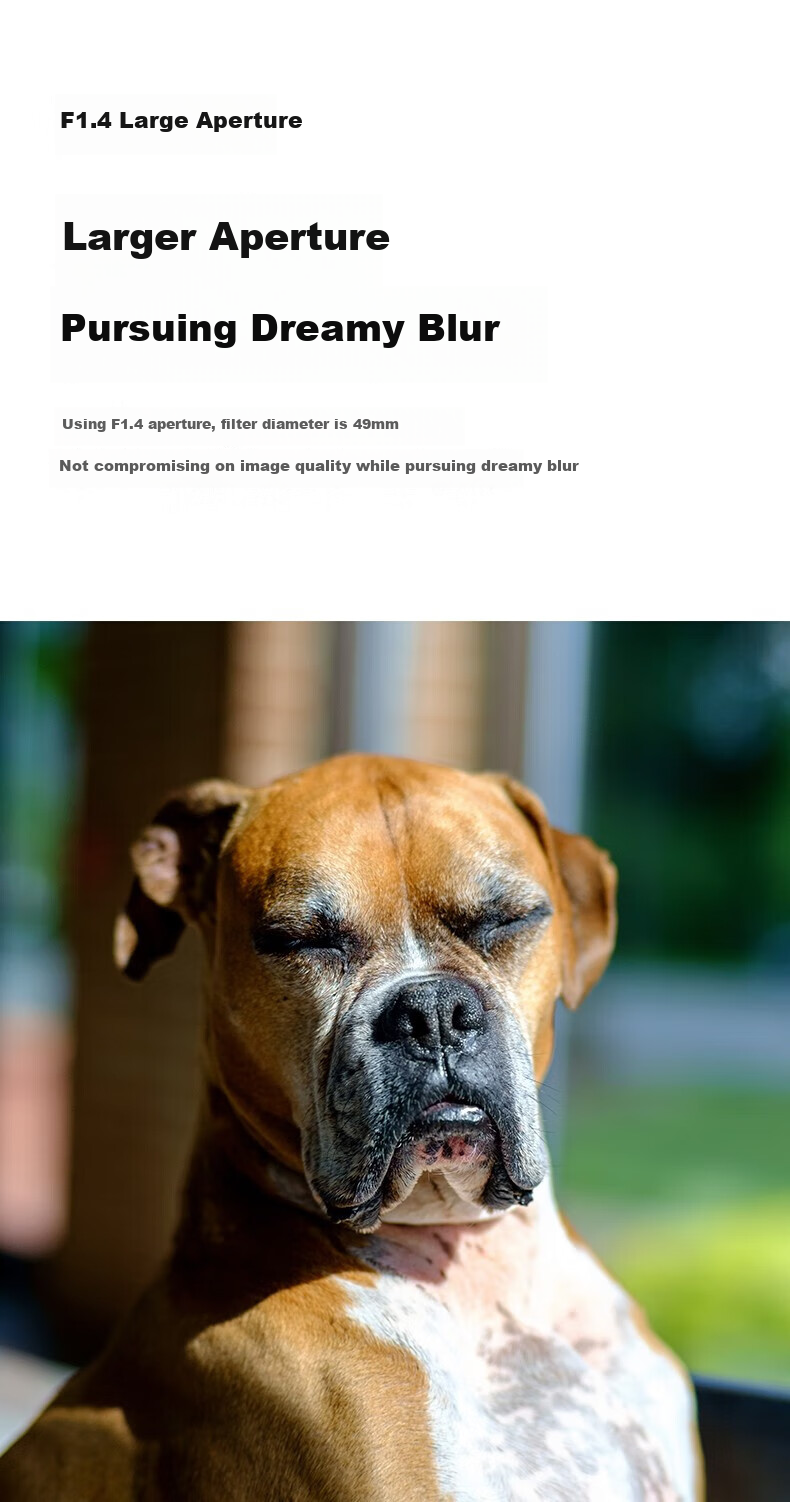 Qigongjiang Sony Prime Lens E-Mount, Black AF35mmF1.8 (Auto Focus), Full-Frame Auto-Focus Lens, Suitable for A7m4 ZV-E10 II A7c2 4