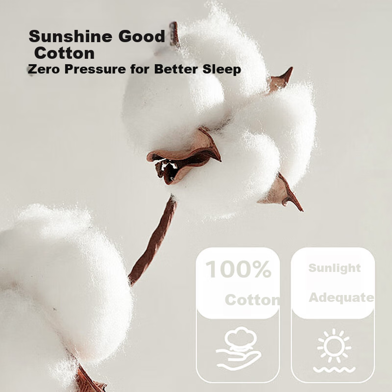 Hengyuanxiang Pure Cotton Duvet Cover, Single Piece, Class A Antibacterial, 100% Cotton, Bedding, Mattress Cover, Sky Blue, 2.2*2.4m