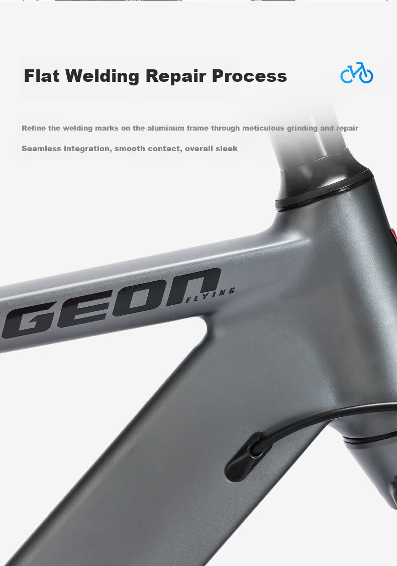 FG FLYING PIGEON Road Bicycle, 700C Aluminum Alloy Frame, 27-Speed, for Men And Women, Adults And Students, City Racing Bike, Nebula Gray 8