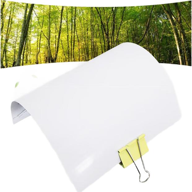 White Image 3