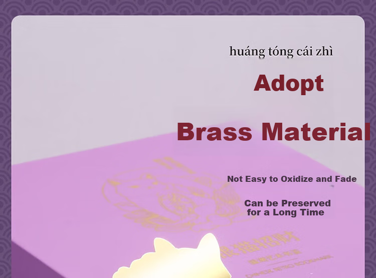 TIANSE Lucky Cat Brass Bookmark Gift Box, Chinese Style Vintage Palace Cultural And Creative Gift for Teachers, Souvenir, Birthday Present TS-5909 Silver Cat Lucky Charm 6