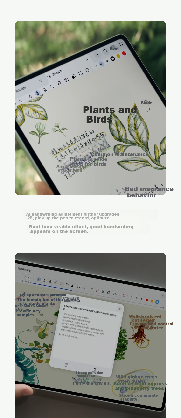 HUAWEI MatePad Pro 12.2-Inch 2025 Soft Light Edition HUAWEI Tablet Dual-Layer OLED Soft Light Screen WIFI 12GB+256GB Feitian Qing 21