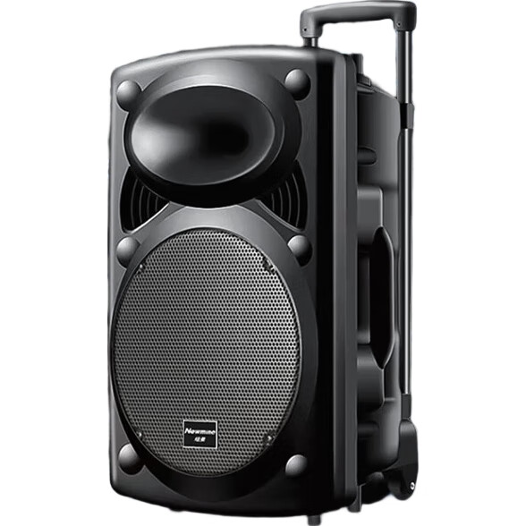 Портативная колонка Newmine B12, 12 дюймов, Bluetooth 5.0, с двумя микрофонами и пультом ДУ