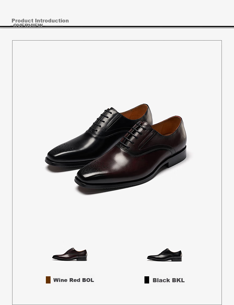 Le Saunda 2026 New Style [Gentleman Character] Lace-Up Business Formal Leather Shoes for Men 09708, Black BKL, Size 41 3