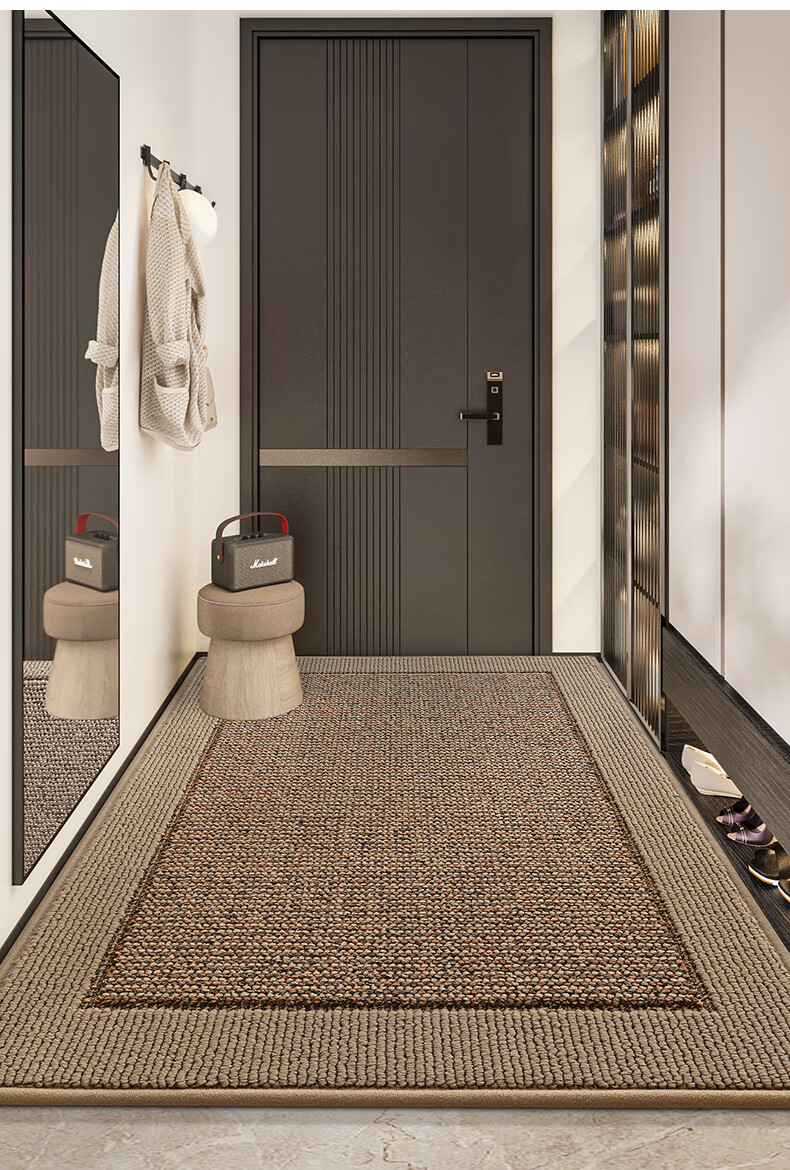 Dajiang Entrance Door Mat Floor Mat 2026 New High-End Carpet 60x90cm 18
