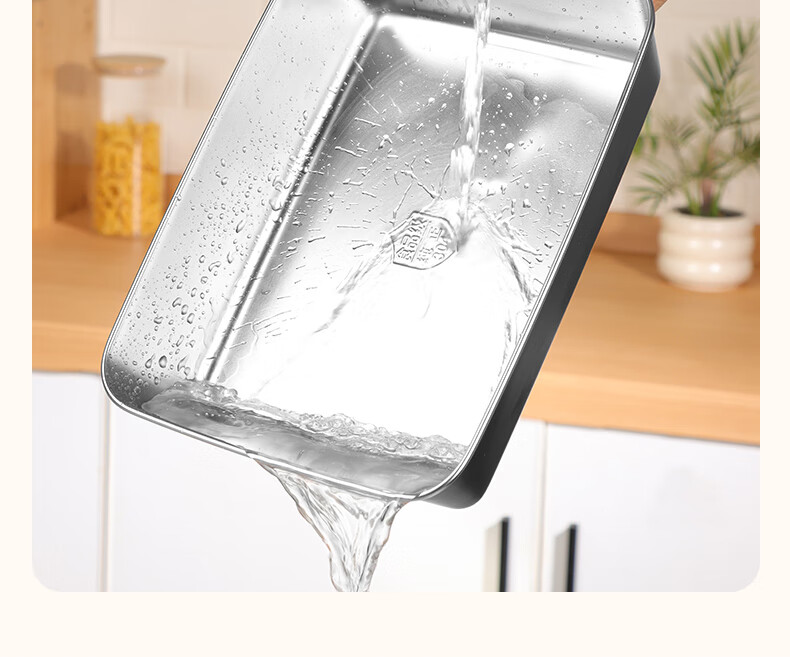 BJ 304 Extra Thick Stainless Steel Rectangular Tray, Serving Tray for Street Vendors, Cold Dish Plate, Barbecue Plate, Large Food Storage Container with Lid, 1 Piece 11