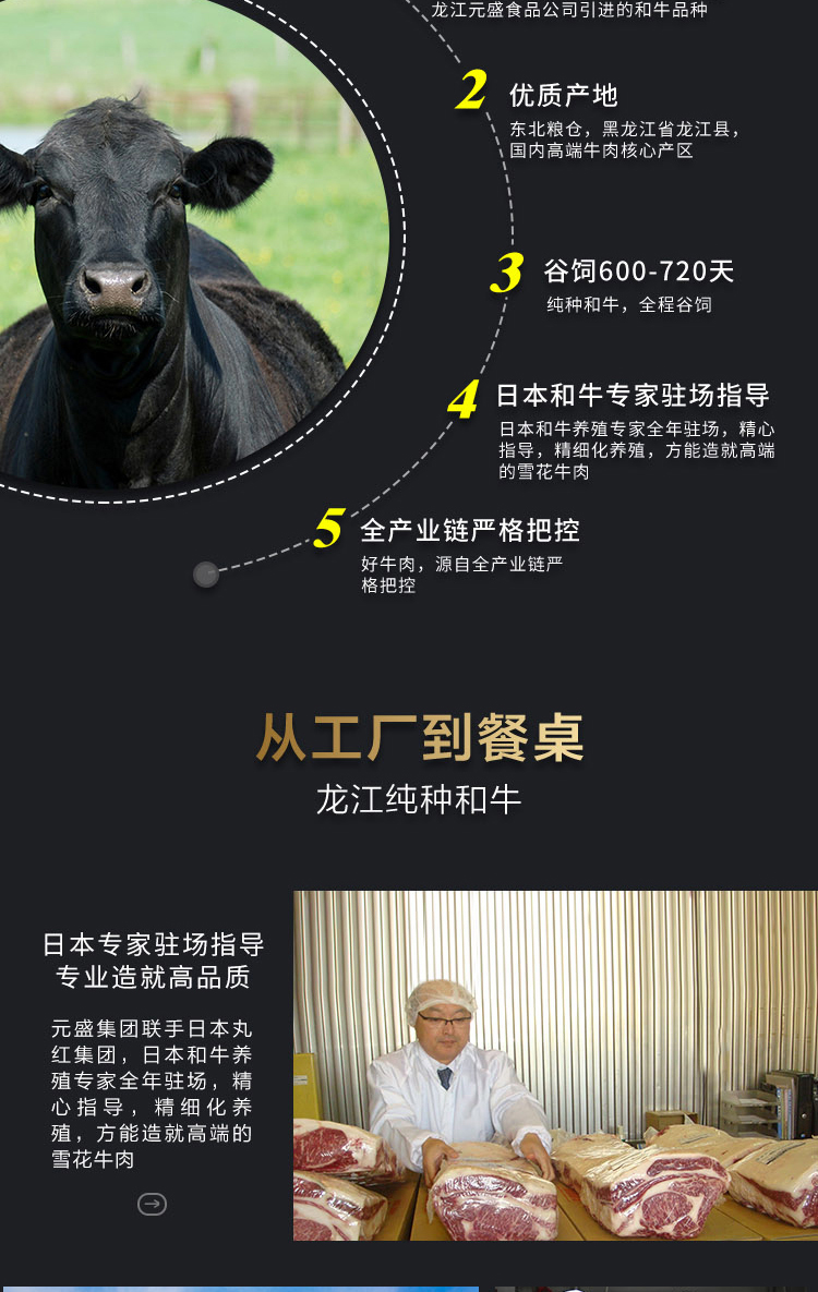 龙江和牛 原切雪花牛肩肉卷/肉片 250g/盒 谷饲600以上 元盛牛肉