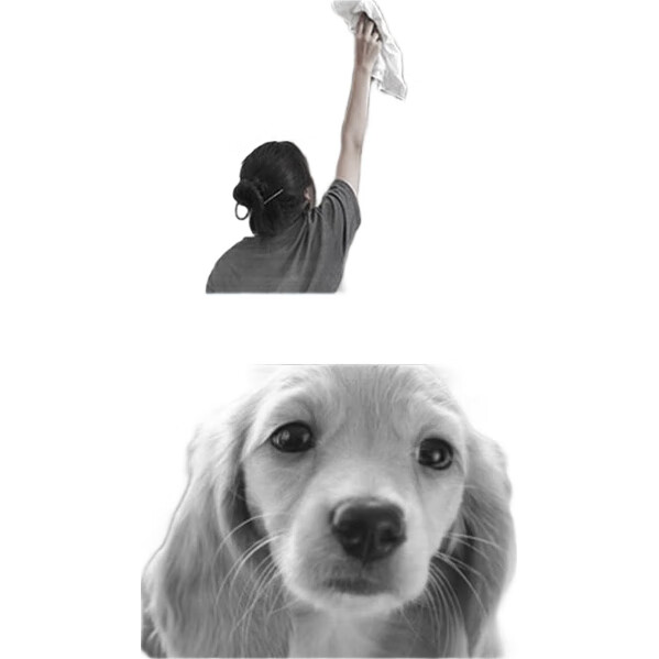 White Image 1