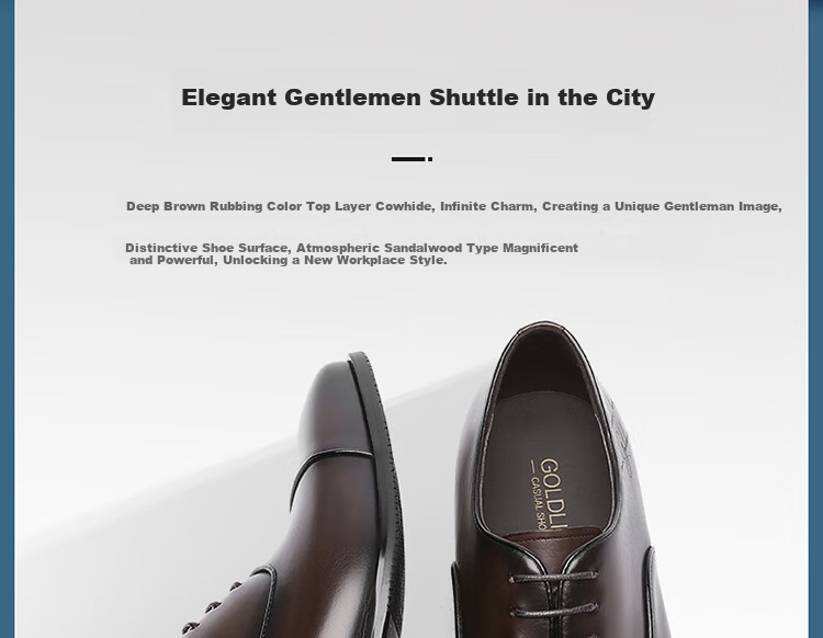 Goldlion Men's Formal Shoes, Fashionable Oxford Shoes, Non-Slip Wear-Resistant Leather Shoes G563410473CCB Brown Size 44 2