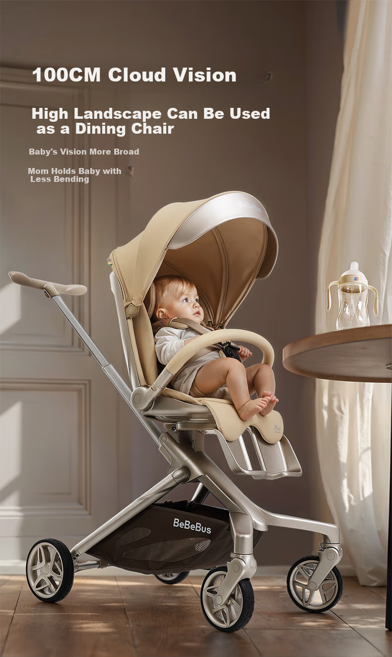 Bebebus Butterfly Stroller Max, Lightweight Foldable Baby Carriage, Reversible Seat And Lie-Flat, Shock-Absorbing, Portable Stroller for Toddlers 22
