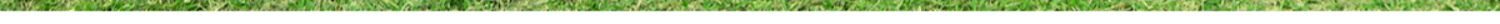 CAMEL Camping Self-Inflating Air Mattress Tent Lazy Mat Outdoor Sleeping Pad Single Home Floor Air Bed 6278 3